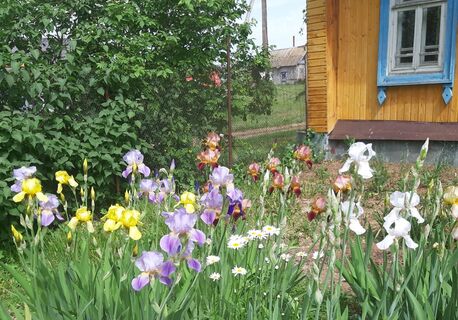 Почему в СССР дачи выдавали только по 6 соток: эксперт дала четкий ответ 