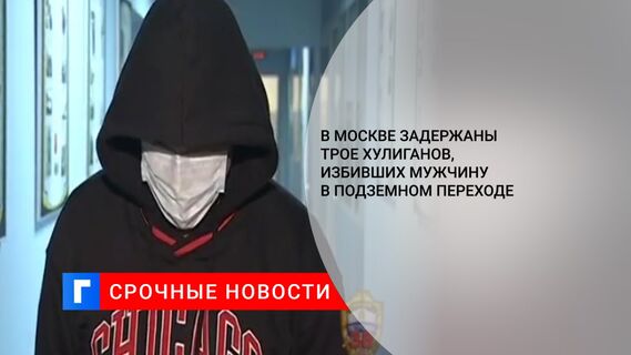 В Москве задержаны трое хулиганов, избивших мужчину в подземном переходе