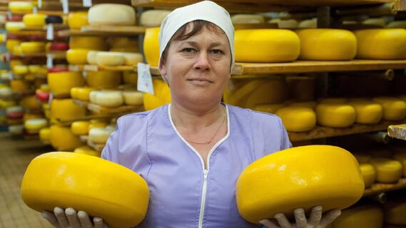 Вот для чего в советском сыре были пластиковые цифры: все не так просто, как кажется
