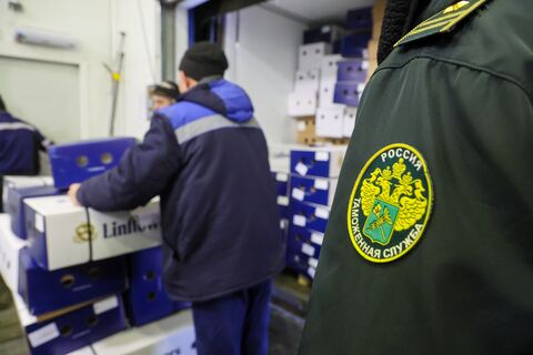 Чемодан волос в Пулково и гора журналов в Ивангороде: что пытаются провезти через границу под видом «личных вещей»