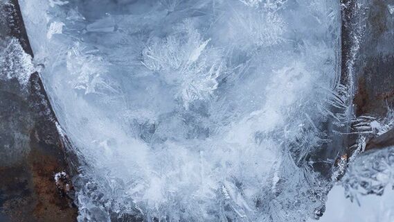 Городовой ру