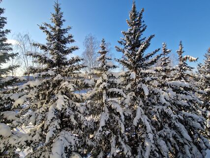 Самая холодная зима СССР: она запомнилась навсегда - лопнувшими трубами и трескучим морозом