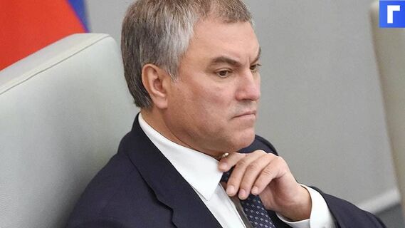 Спикер Госдумы Володин ответил на критику пенсионерки и пообещал помочь