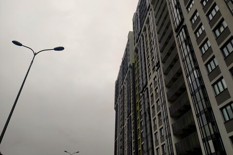 петербургская серость