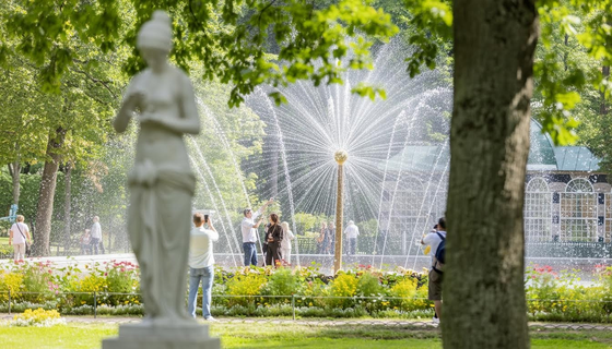 В чем разница между Верхним и Нижним парками в Петергофе?
