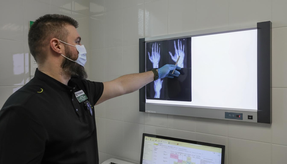 Чем известен институт Турнера в Санкт-Петербурге? 