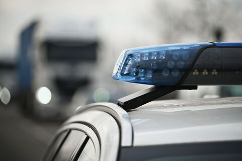 Таможенники Петербурга взяли банду: нелегальный табак на 85 миллионов в кармане