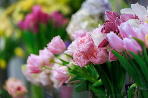 Цветочная тревога: в Петербурге в партиях гвоздик, эустом и хризантем нашли опасных насекомых Цветочная тревога: в Петербурге в партиях гвоздик, эустом и хризантем нашли опасных насекомых