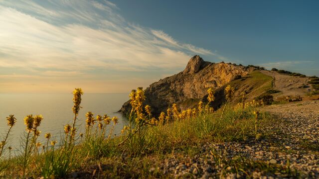 Анапа, Сочи или Крым: какой курорт выбрать для идеального отдыха на море — мой опыт и советы