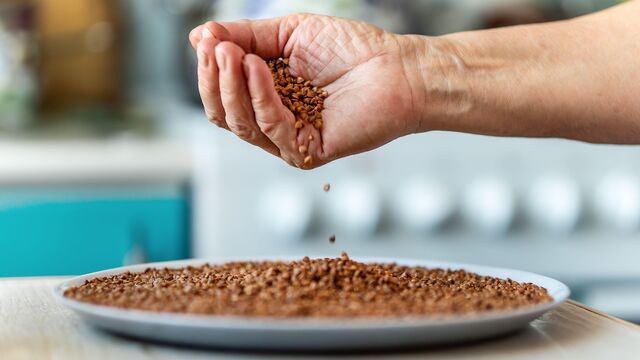 Эти продукты «убивают» полезные свойства гречки: лучше в тарелку вместе их не класть
