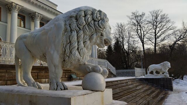 В Петербурге неслучайно много скульптур львов: выполняют важную функцию