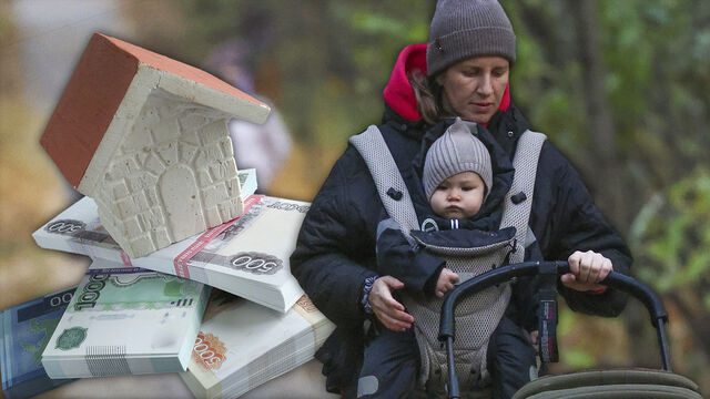 Помощь студенческим семьям: Петербург увеличит размер ежемесячных выплат