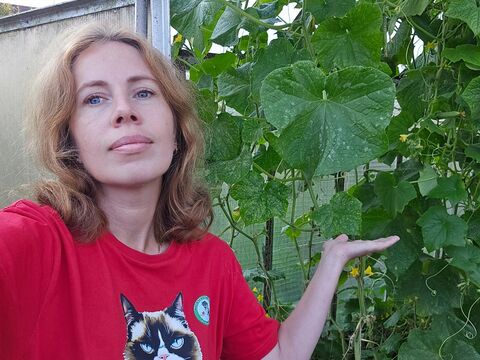 Плодоносить будут до середины сентября: агроном Давыдова назвала подкормку, которая открывает «второе дыхание» у огурцов – зеленцы, как на подбор
