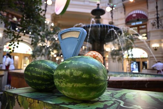 Нитратный» миф и гибриды-спринтеры: почему арбузы можно покупать, не дожидаясь августа
