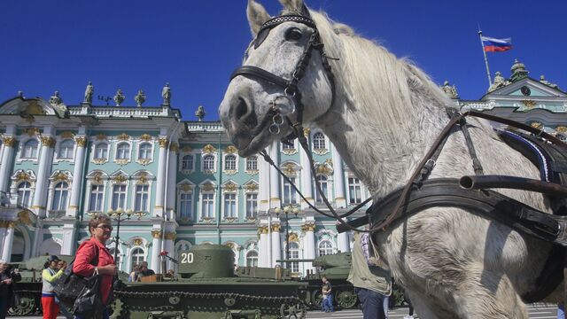 В Парголово случилось жуткое ДТП: поезд насмерть задавил лошадей