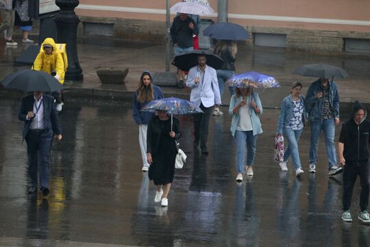 В Петербурге 4 июля ожидаются ливни, грозы и порывистый ветер - предупреждение МЧС