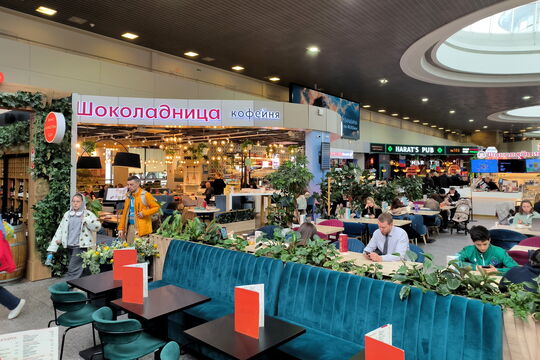 Только посадка и никакого шума: Пулково становится тише