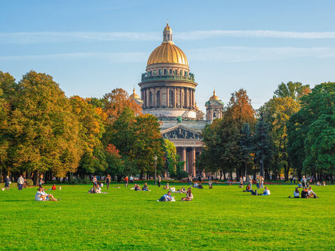 В Петербурге выявили 220 нарушений по уборке газонов - что это значит для горожан