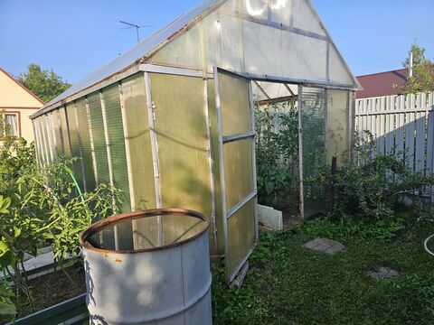 1 подкормка для большого урожая — опрыскал и забыл о проблемах: плоды будут расти как оголтелые до самых холодов