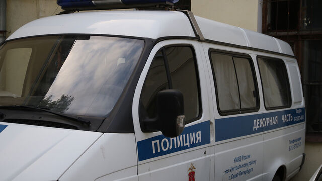 В Петербурге неизвестный украл снегоболотоход за 2 млн рублей