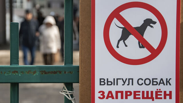 Сад для людей, не для собак: кому теперь открыты двери в Академический сад и что ждет нарушителей нового правила
