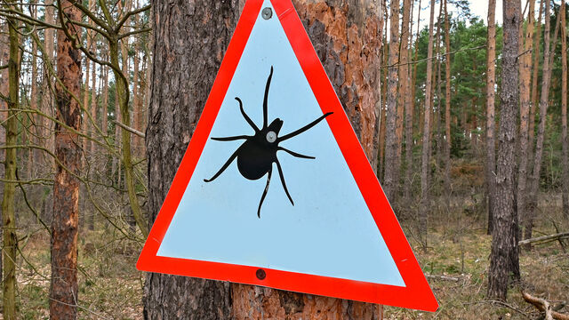 Кровопийцам зима не помеха: где россияне рискуют подцепить клещей в холодное время года