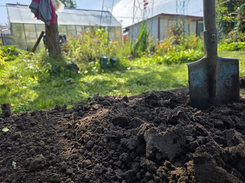 Обратный эффект: агроном Давыдова объяснила, почему нельзя слишком часто перекапывать землю на даче – точка в спорах огородников поставлена