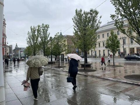 Синоптики предупреждают: 2 июля в Петербурге - дождь и похолодание