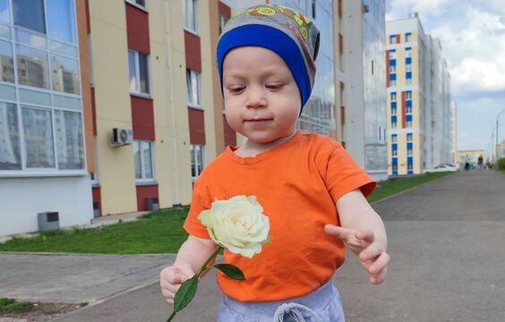 1 таблетка в вазу – и цветы стоят 2 недели как свежие: не букет, а благоухающий оазис