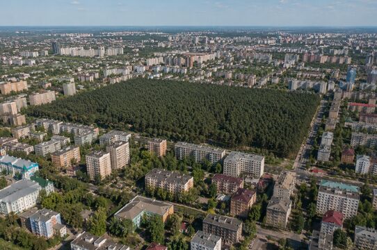 Город-миллионник, в центре которого находится реликтовый сосновый бор - возник миллионы лет назад: в РФ таких мест больше нет