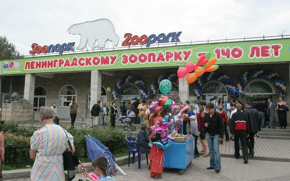 Жираф до семи, а кассы — до восьми: Ленинградский зоопарк изменил режим работы