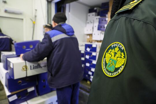 Чемодан волос в Пулково и гора журналов в Ивангороде: что пытаются провезти через границу под видом «личных вещей»