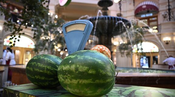 Нитратный» миф и гибриды-спринтеры: почему арбузы можно покупать, не дожидаясь августа