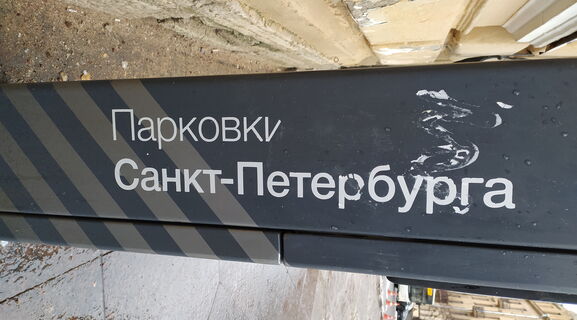 Забыл, ошибся, не успел: за какие «парковочные грехи» в Петербурге теперь официально разрешили не платить штраф