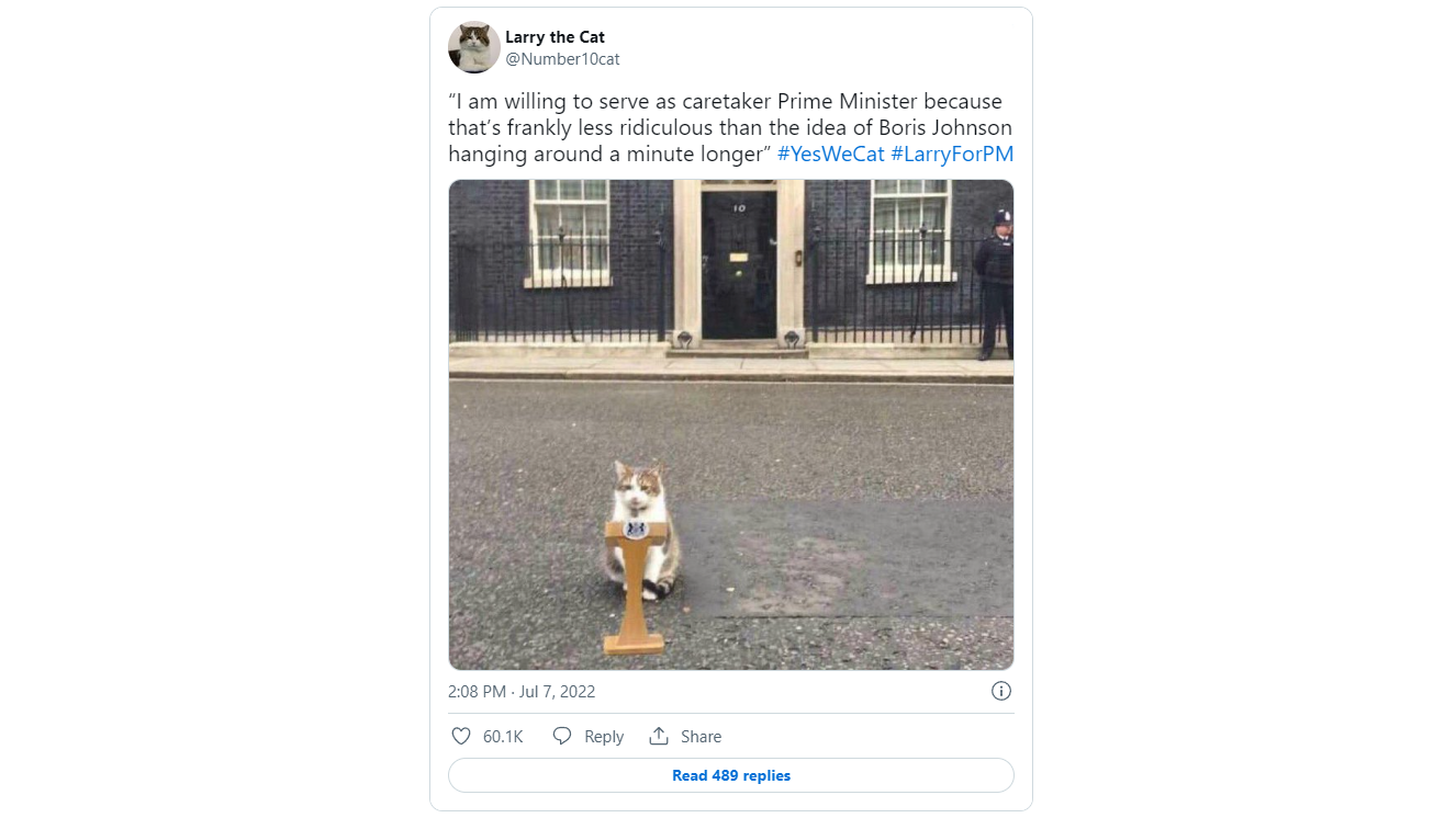 Не так нелепо, как Джонсон: британцы хотят видеть на посту премьера кота Ларри - image 1