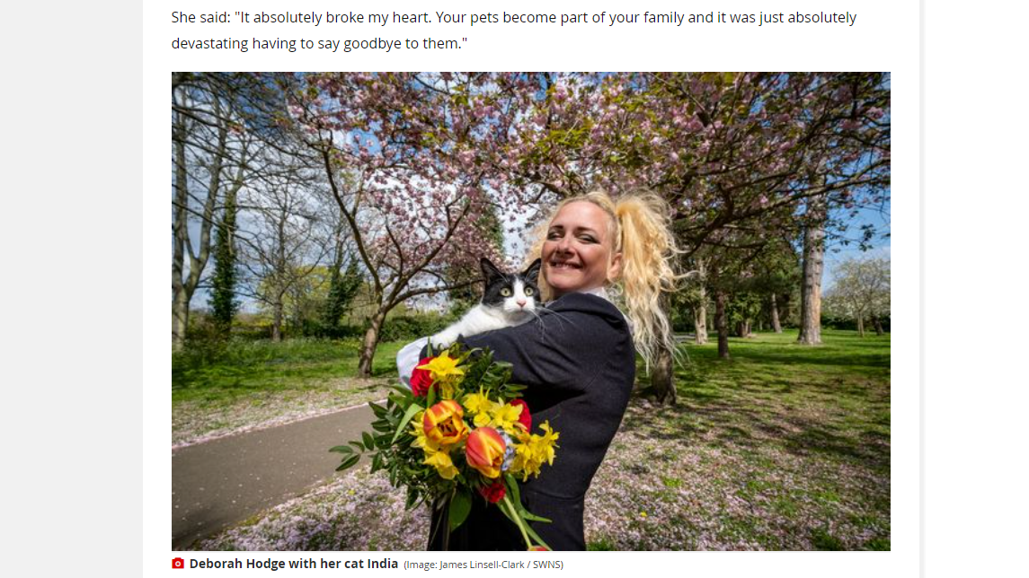Кардинально решила вопрос с выселением: британка вышла замуж за кошку - image 1