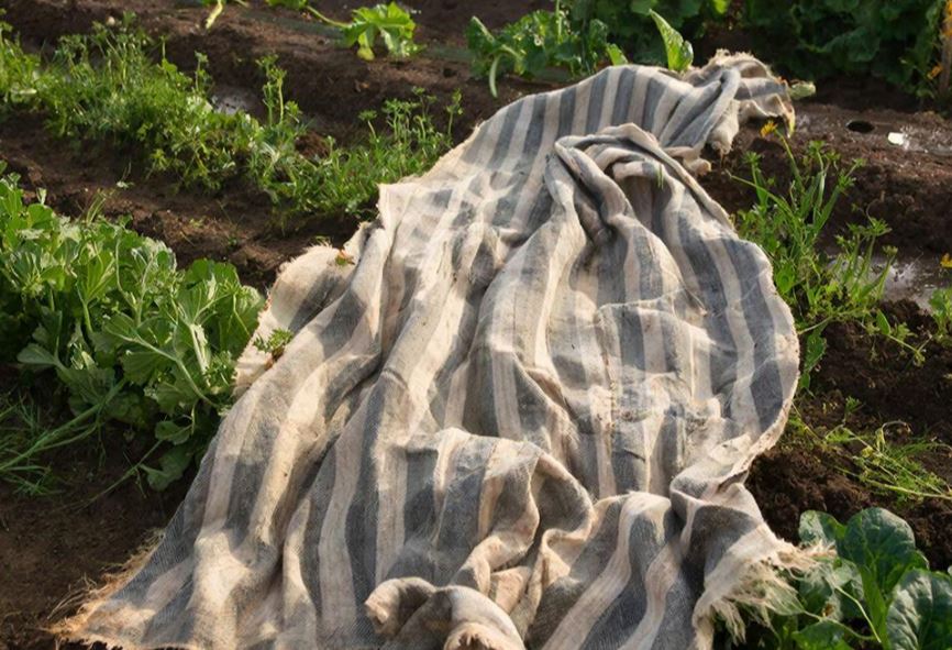 Городовой ру