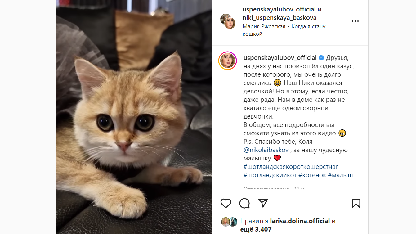 Необъяснимо, но факт: в доме Успенской котенок Николая Баскова сменил пол - image 1