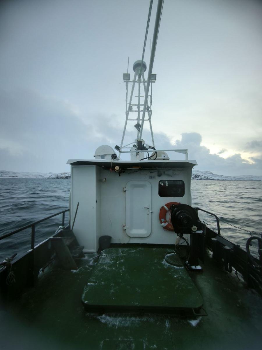 Городовой.ру