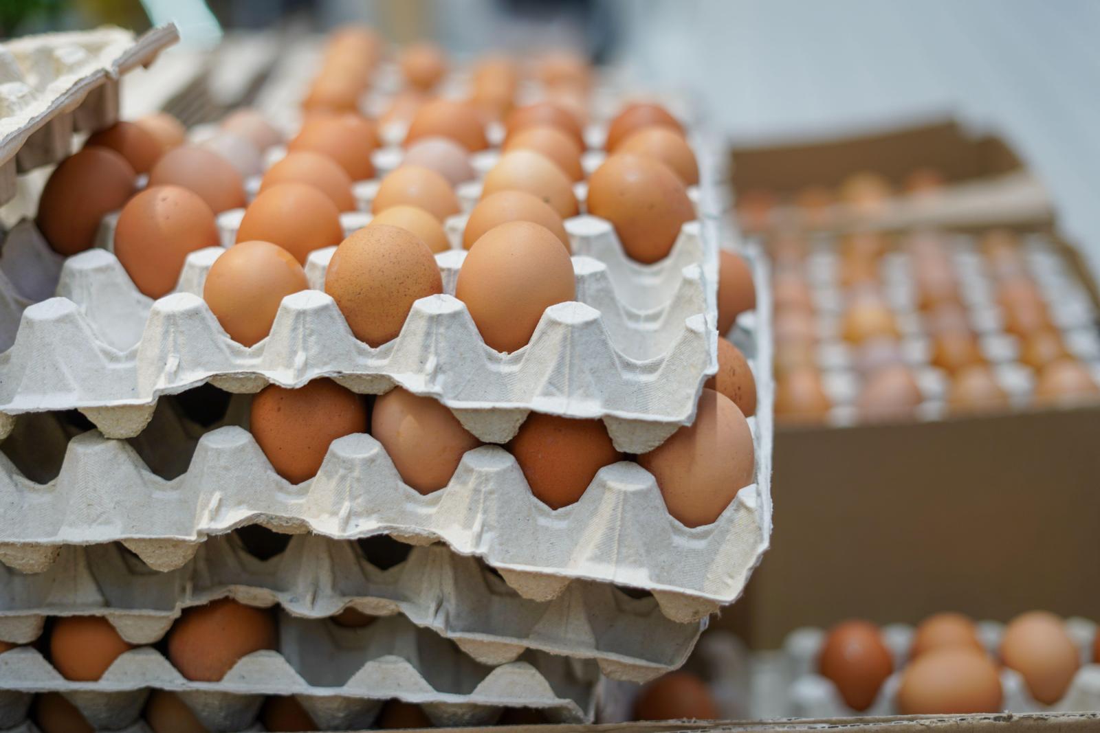 Чем отличаются белые яйца от коричневых, и как сохранить продукт свежим до года - image 1