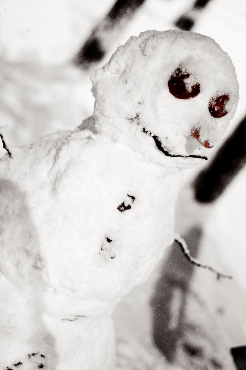 Почему снеговика раньше считали монстром, и для чего нужен был нос-морковка - image 1
