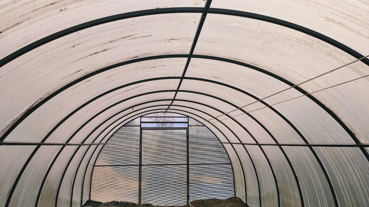 Городовой ру