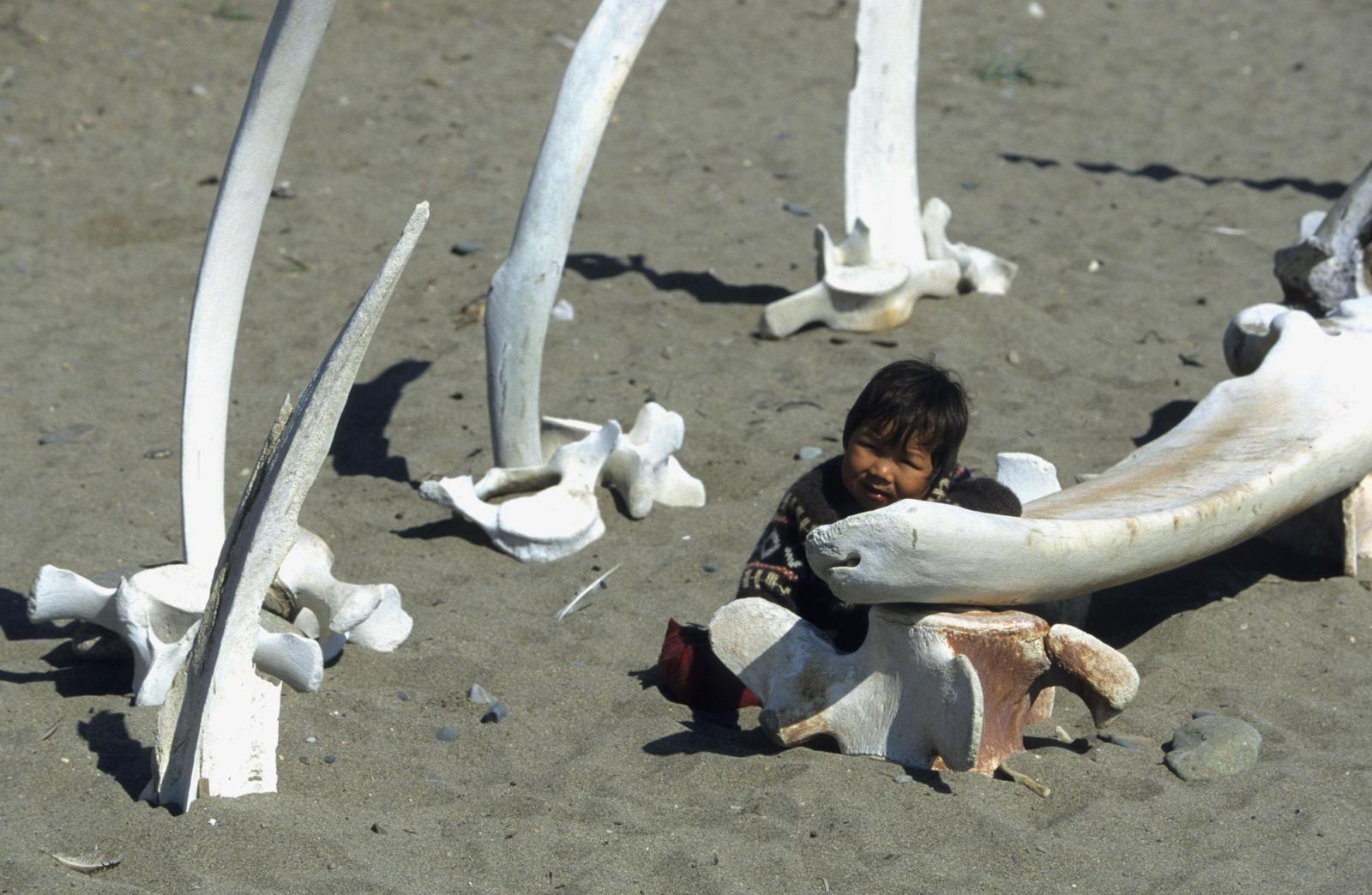 Яйца по 670 руб. и отсутствие интернета: как живут люди в городе на краю России – добраться сюда можно только на вездеходе - image 3