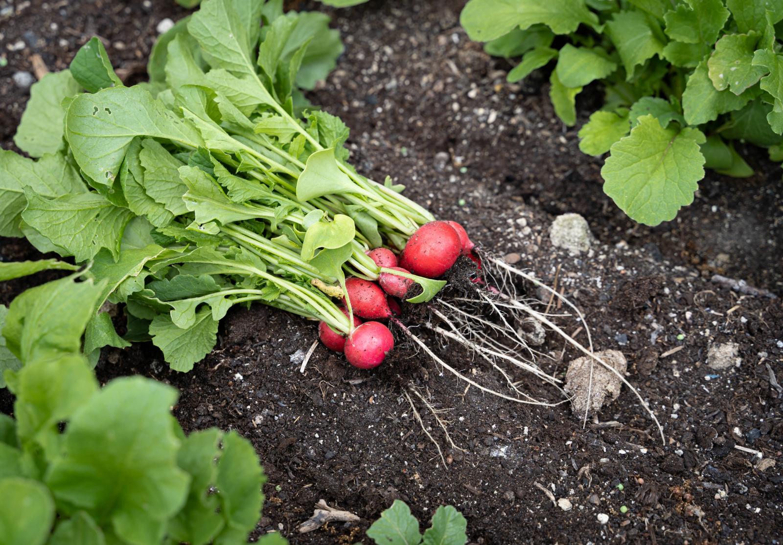 фото legion-media