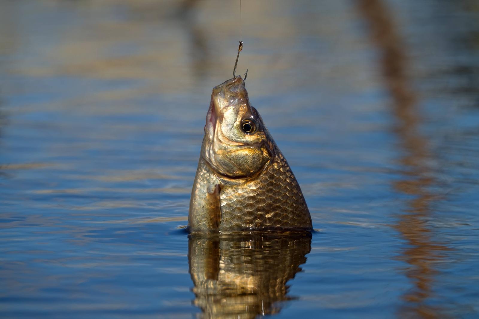 фото legion-media