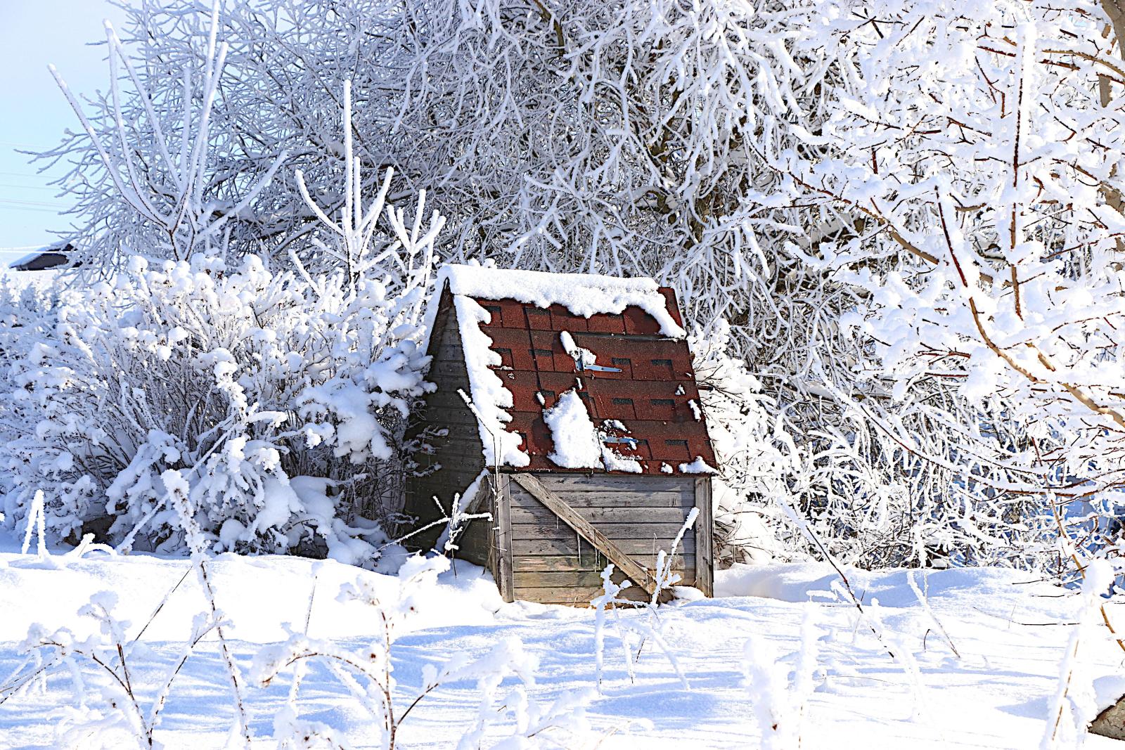 фото legion-media