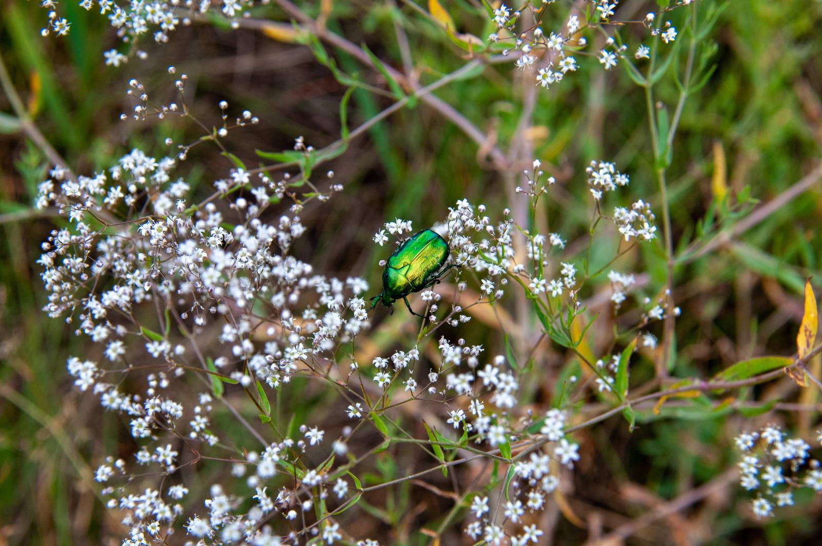фото legion-media