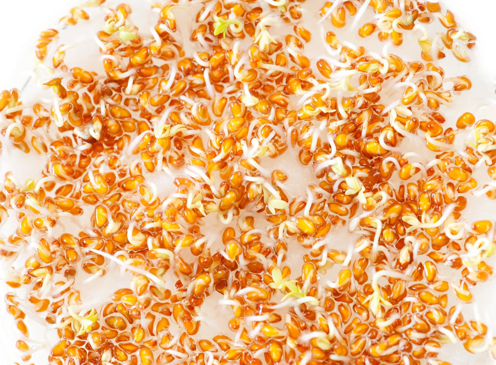 фото legion-media