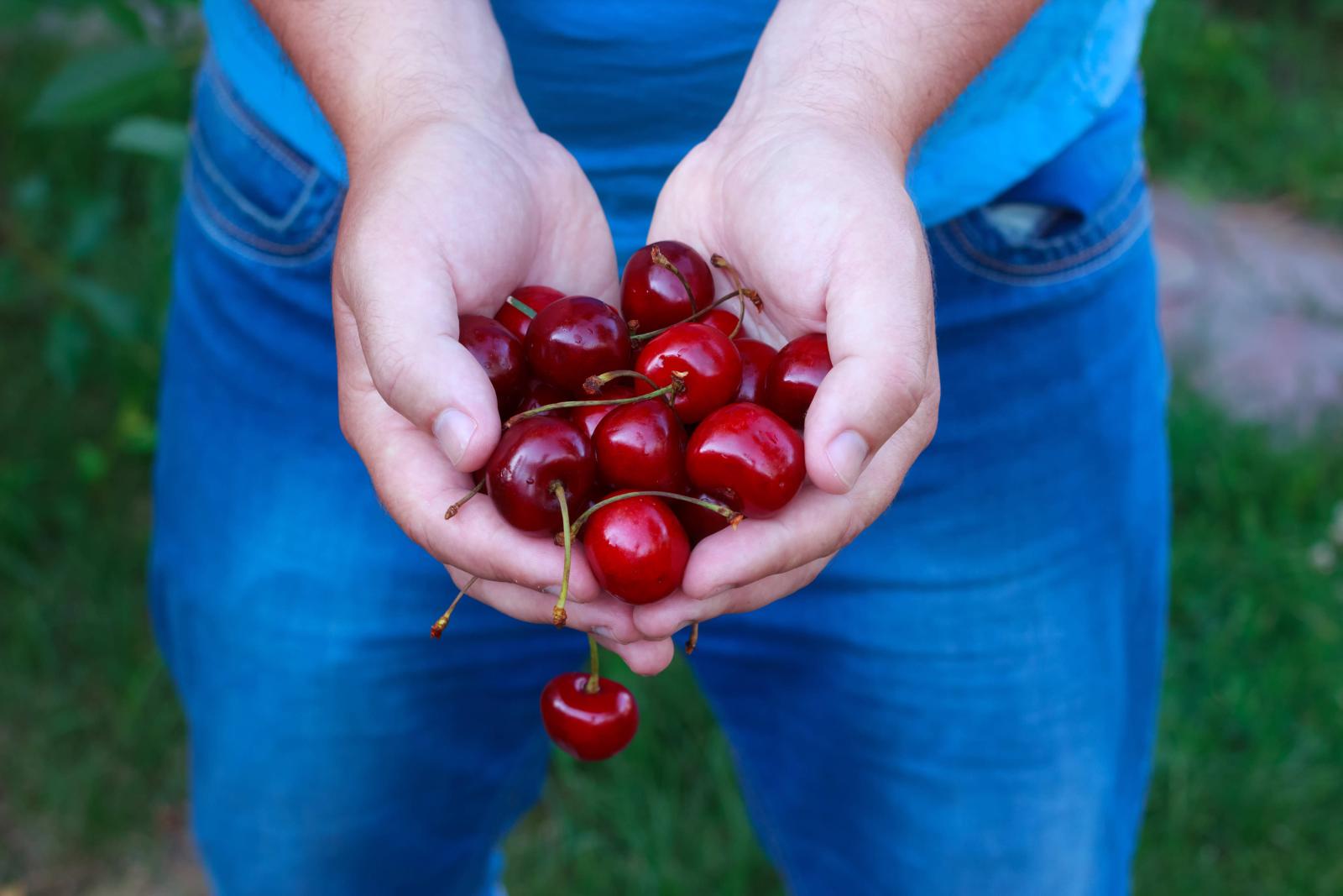 фото legion-media