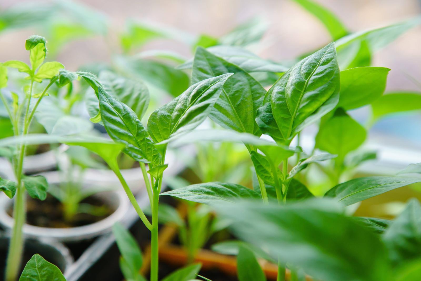 фото legion-media